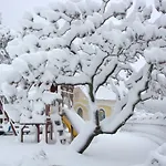 Mocivnik