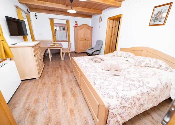 Πανσιόν Mocivnik 3*