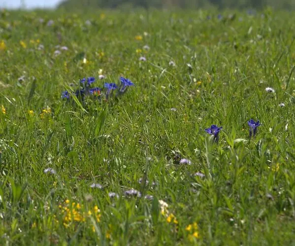 Πανσιόν Mocivnik Okroglice